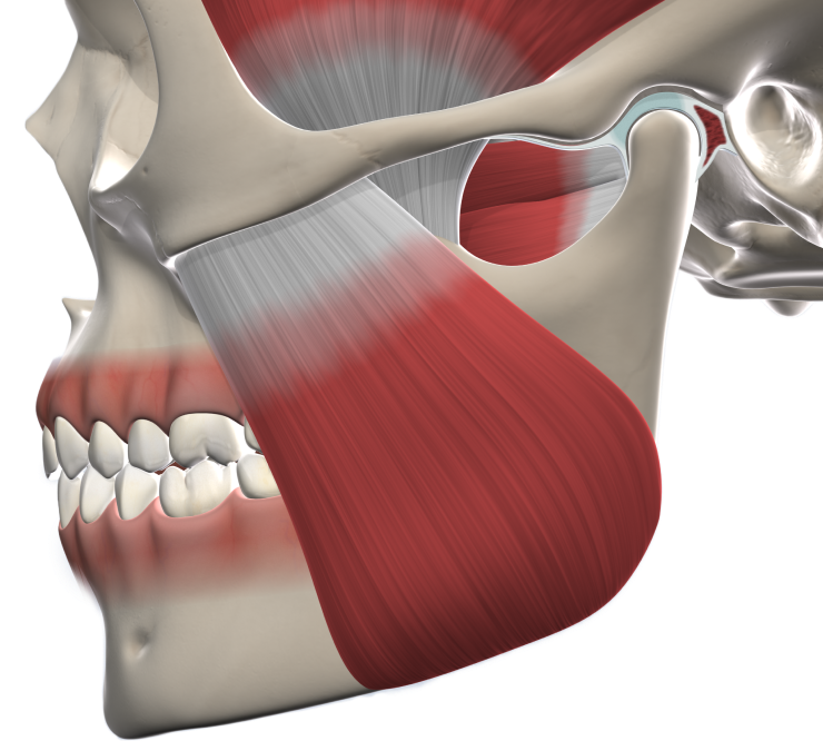 Isolated tmj surgery mobile